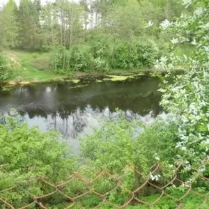 дом с участком в живописном месте. д.Пужичи,  Гродненский р-н