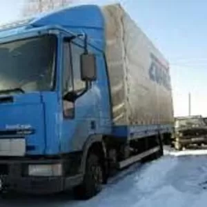 Грузоперевозки РБ, РФ,  IVECO-tector, тент до 5 тонн, до 37 куб.м.