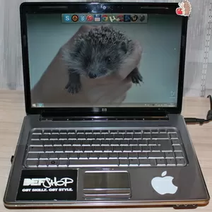 Ноутбук HP Pavilion dv5