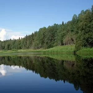 Шикарный участок на берегу Двины. Обмен возможен.