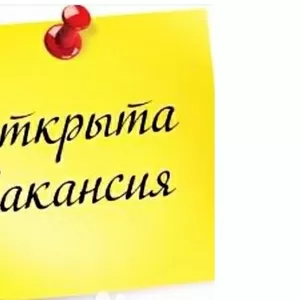 ИП приглашает на работу помощника руководителя(женщина)