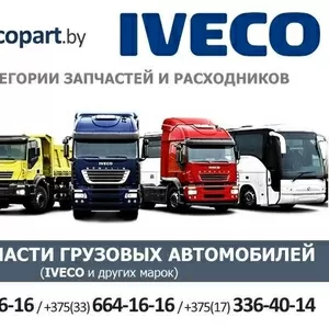 Автозапчасти грузовых автомобилей IVECO и др. авто.