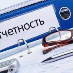 Бухгалтерские услуги для ИП и (или) микроорганизаций