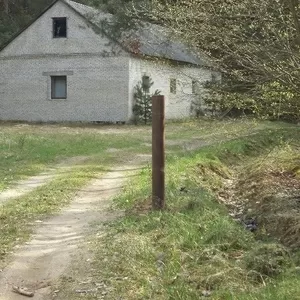 Дом в лесу на берегу Немана в экологическом заказнике. 