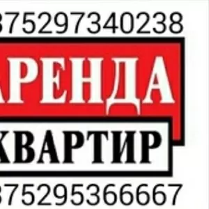 Сдам посуточно однокомнатную квартиру класса люкс в г.Мозыре