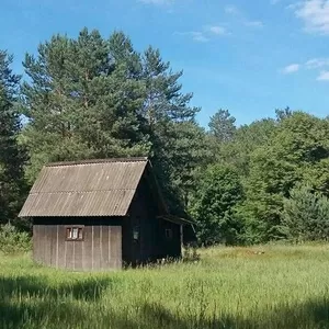 Земельный участок с ветхим домом в Брестском р-не. r180001