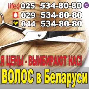   Продать волосы в Гомеле