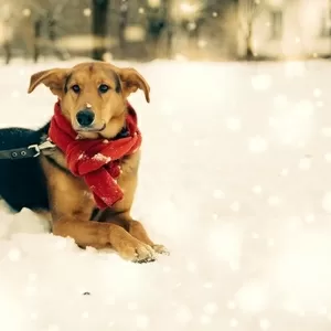 Мама и папа вы где ? я вас жду...