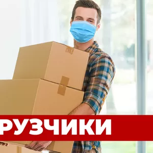 Услуги грузчиков и разнорабочих 24/7,  опытные и трезвые бригады! 