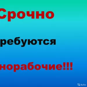 В компанию ООО БелРецикл,  требуются разнорабочие