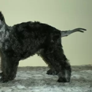 Bedlington Terrier щенки